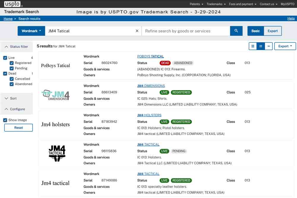 Search for a wordmark on the TM search system