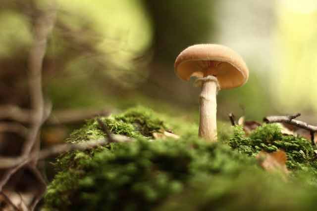 by-Romain-Piera-on-12-6-24-from-Flickr---name-of-file-24127639335_102caef30c_z